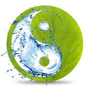 Symbol von Yin und Yang