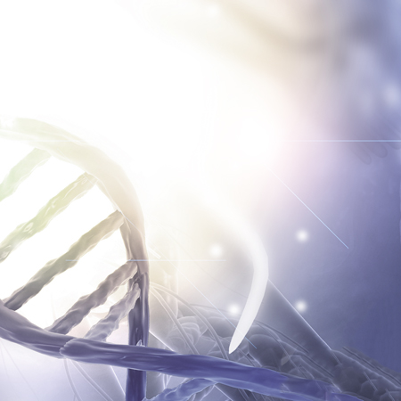 DNA - Theta Healing DNA3 Seminar Online und Offline